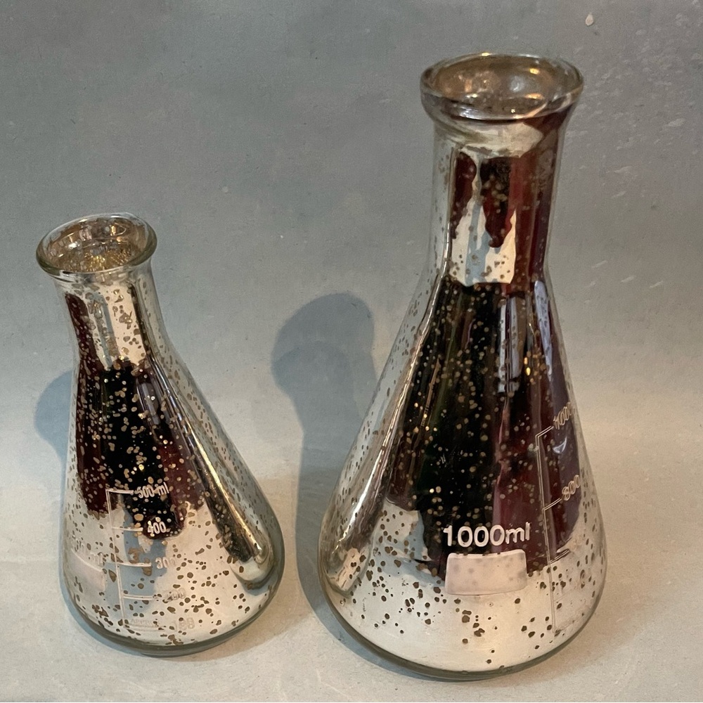 EUC Elegant Expressions | Silver Mercury Glass Beaker Vases | Set of 2